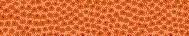 fondo-naranja-002.jpg