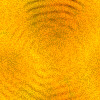 fondo-naranja-040.jpg