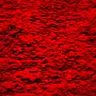 fondo-rojo-043.jpg