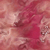 fondo-rojo-074.gif