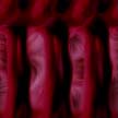 fondo-rojo-080.jpg