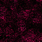 fondo-rojo-130.jpg