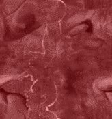 fondo-rojo-134.jpg