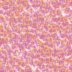 fondo-rosa-011.jpg
