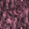 fondo-rosa-039.jpg