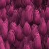 fondo-rosa-050.jpg