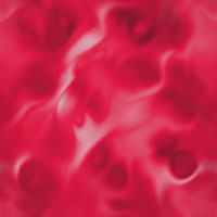 fondo-rosa-092.jpg