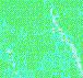 fondo-verde-claro-005.jpg