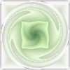 fondo-verde-claro-028.jpg