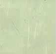 fondo-verde-claro-043.jpg