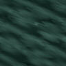 fondo-verde-oscuro-015.jpg