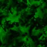 fondo-verde-oscuro-020.jpg