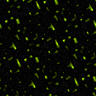 fondo-verde-oscuro-023.jpg