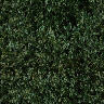 fondo-verde-oscuro-025.jpg