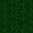 fondo-verde-oscuro-041.jpg