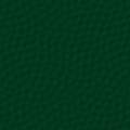 fondo-verde-oscuro-043.jpg