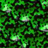 fondo-verde-022.jpg