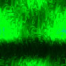 fondo-verde-027.jpg