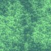 fondo-verde-037.jpg