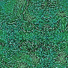 fondo-verde-050.gif