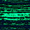 fondo-verde-054.jpg