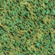fondo-verde-058.gif
