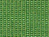 fondo-verde-061.gif