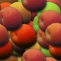fondo-comida-015.jpg