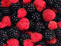 fondo-comida-023.jpg