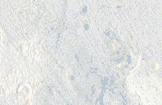 fondo-papel-pared-045.gif