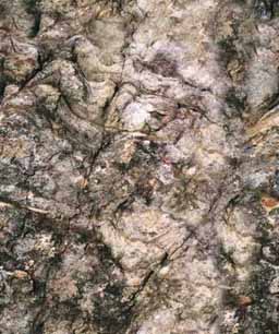 fondo-piedra-roca-clara-035.jpg