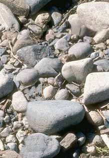 fondo-piedra-roca-clara-038.jpg