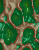 fondo-psicodelico-005.gif