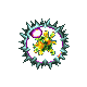 forma-animada-031.gif