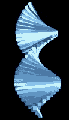 forma-animada-041.gif