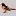 beisbol-baseball-006.gif