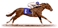 deportes-miscelanea-041.gif