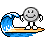 surf-winsurfing-003.gif
