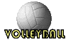 volleyball-005.gif
