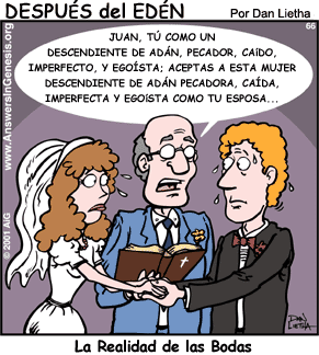 bodas-casamientos-076.gif