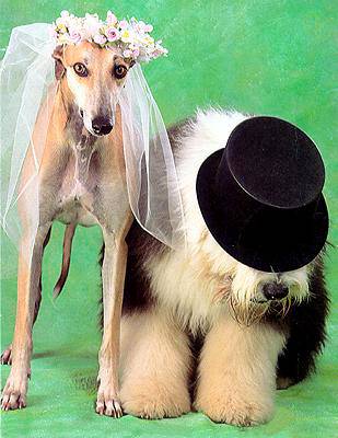 bodas-casamientos-094.jpg