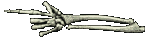calaveras-y-esqueletos-089.gif