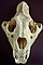calaveras-y-esqueletos-120.jpg