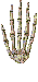 calaveras-y-esqueletos-141.gif