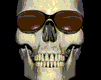 calaveras-y-esqueletos-159.gif