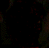 calaveras-y-esqueletos-175.gif