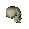 calaveras-y-esqueletos-181.gif