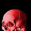 calaveras-y-esqueletos-182.gif