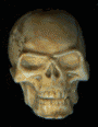 calaveras-y-esqueletos-205.gif