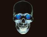 calaveras-y-esqueletos-211.jpg